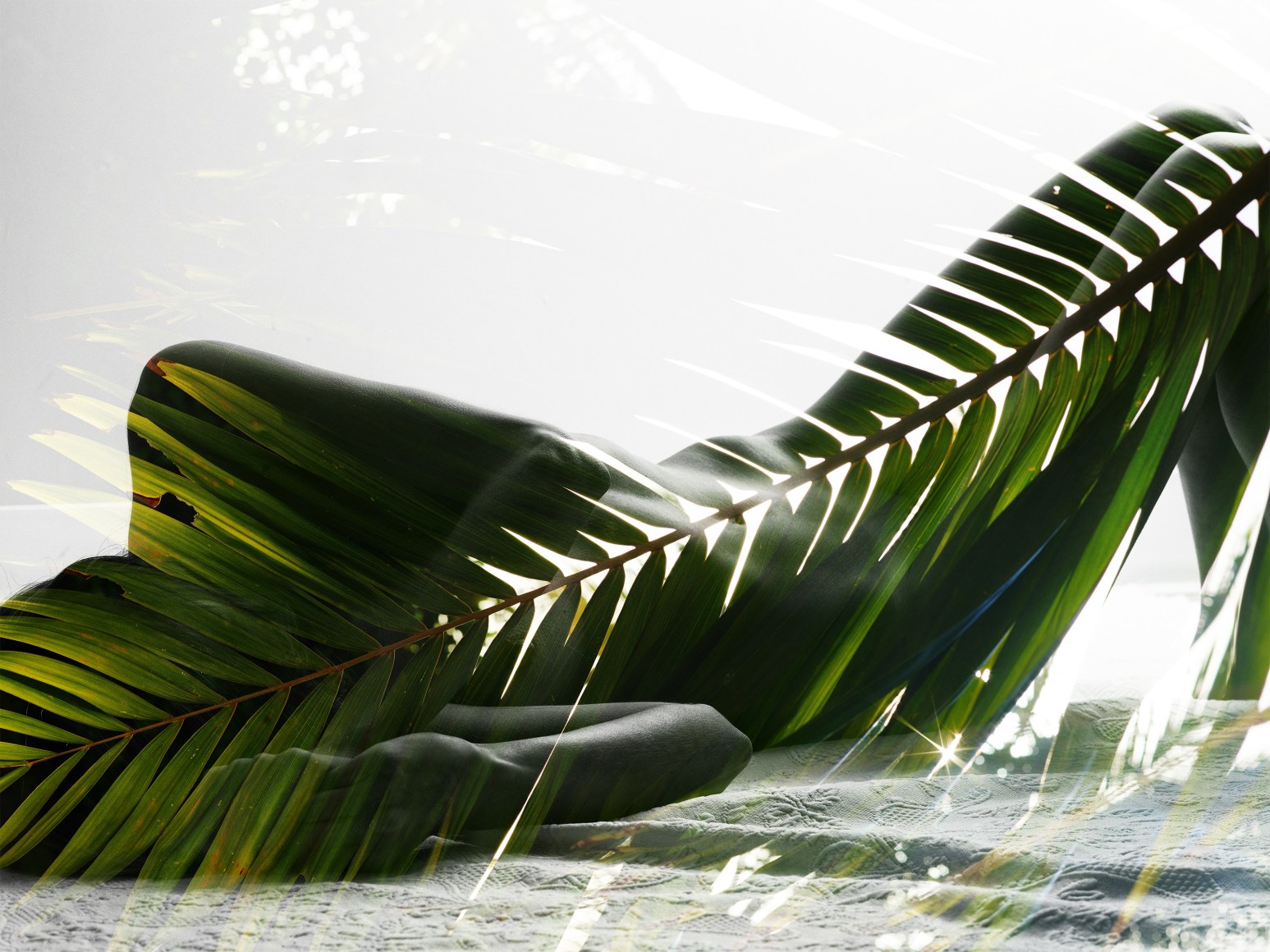 Nathan Coe  Palm Goddess 1 double exposure