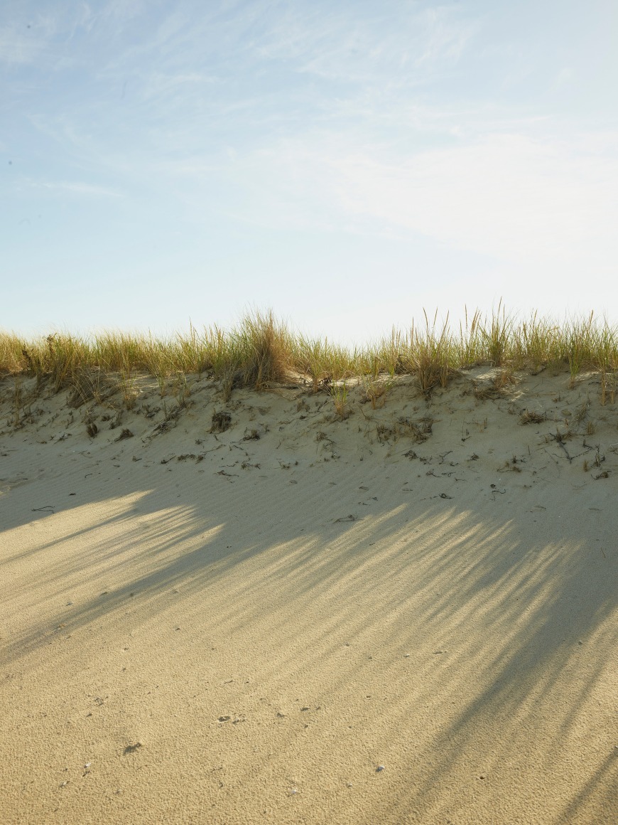 Nathan Coe, Dune Rays, 2020