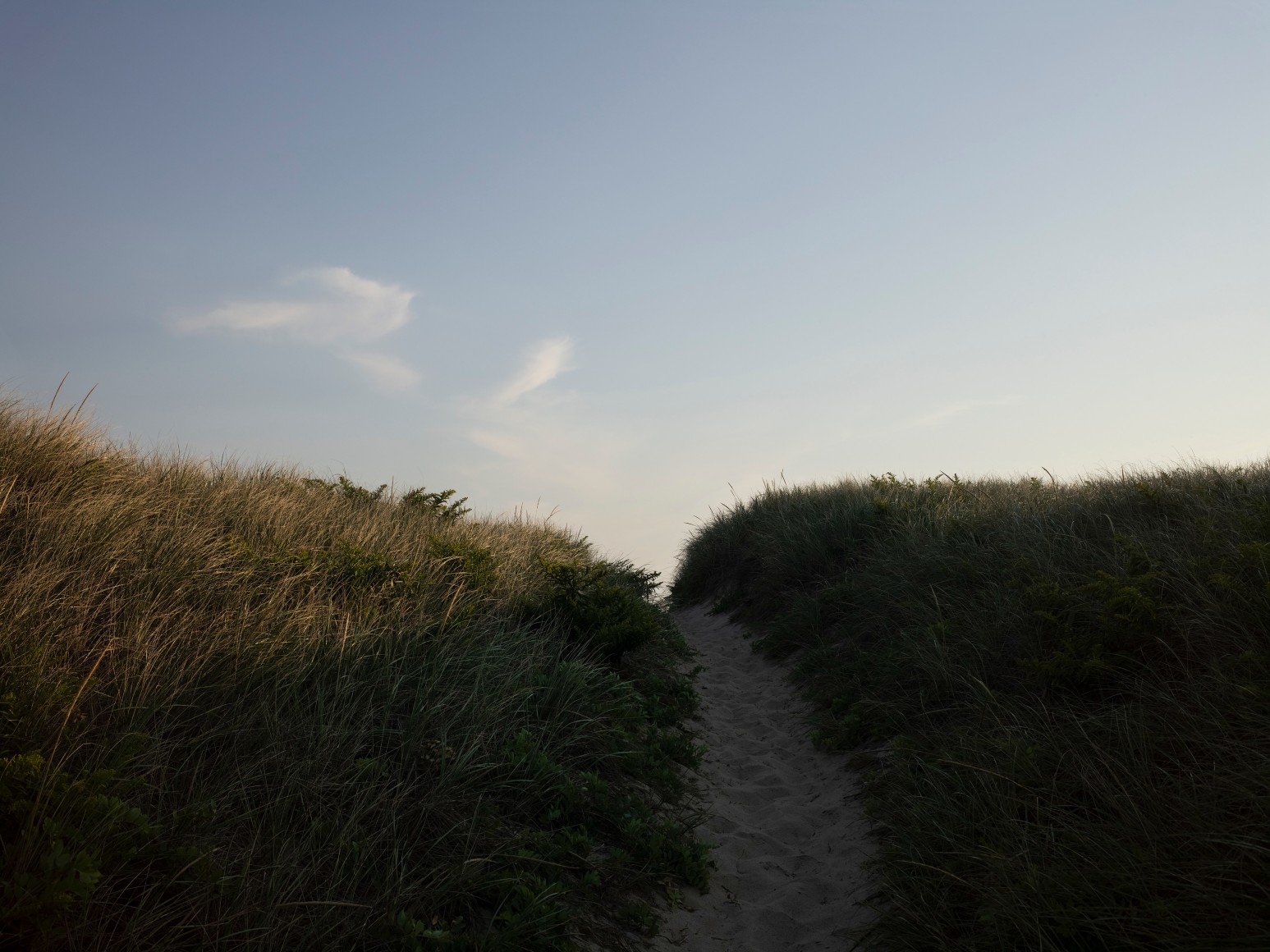 Nathan Coe, Dune Path, 2016