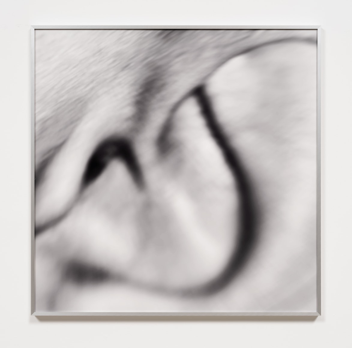 Nikita Gale, NOSEBLEED 13