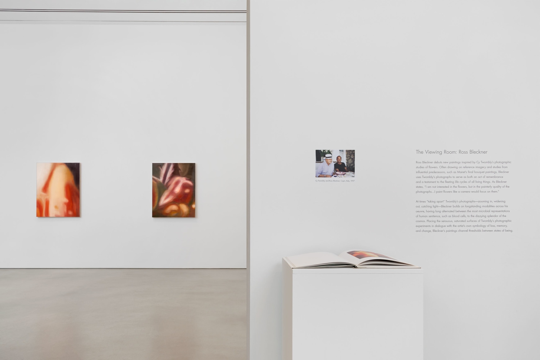 Installation view, Ross Bleckner, Petzel, 2025