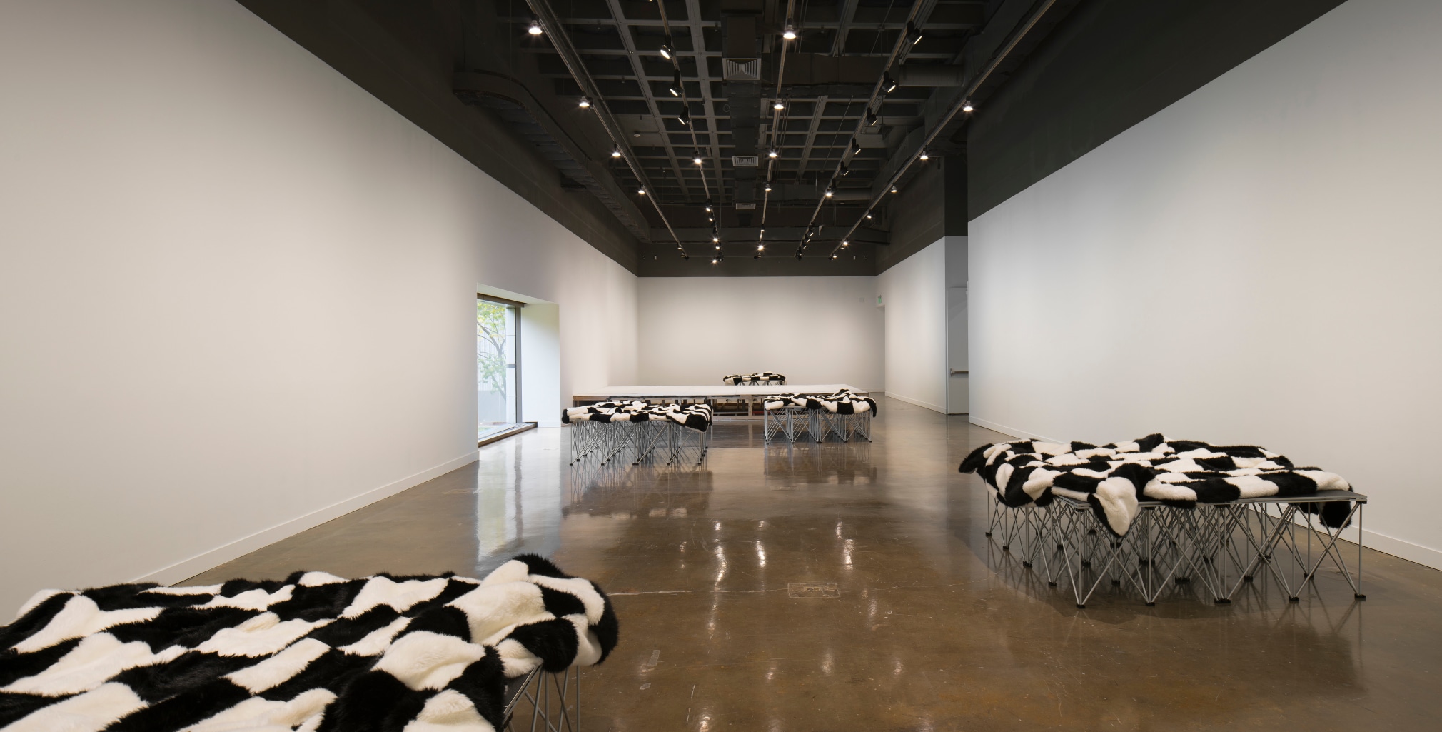 Heimo Zobernig - Artists - Petzel Gallery