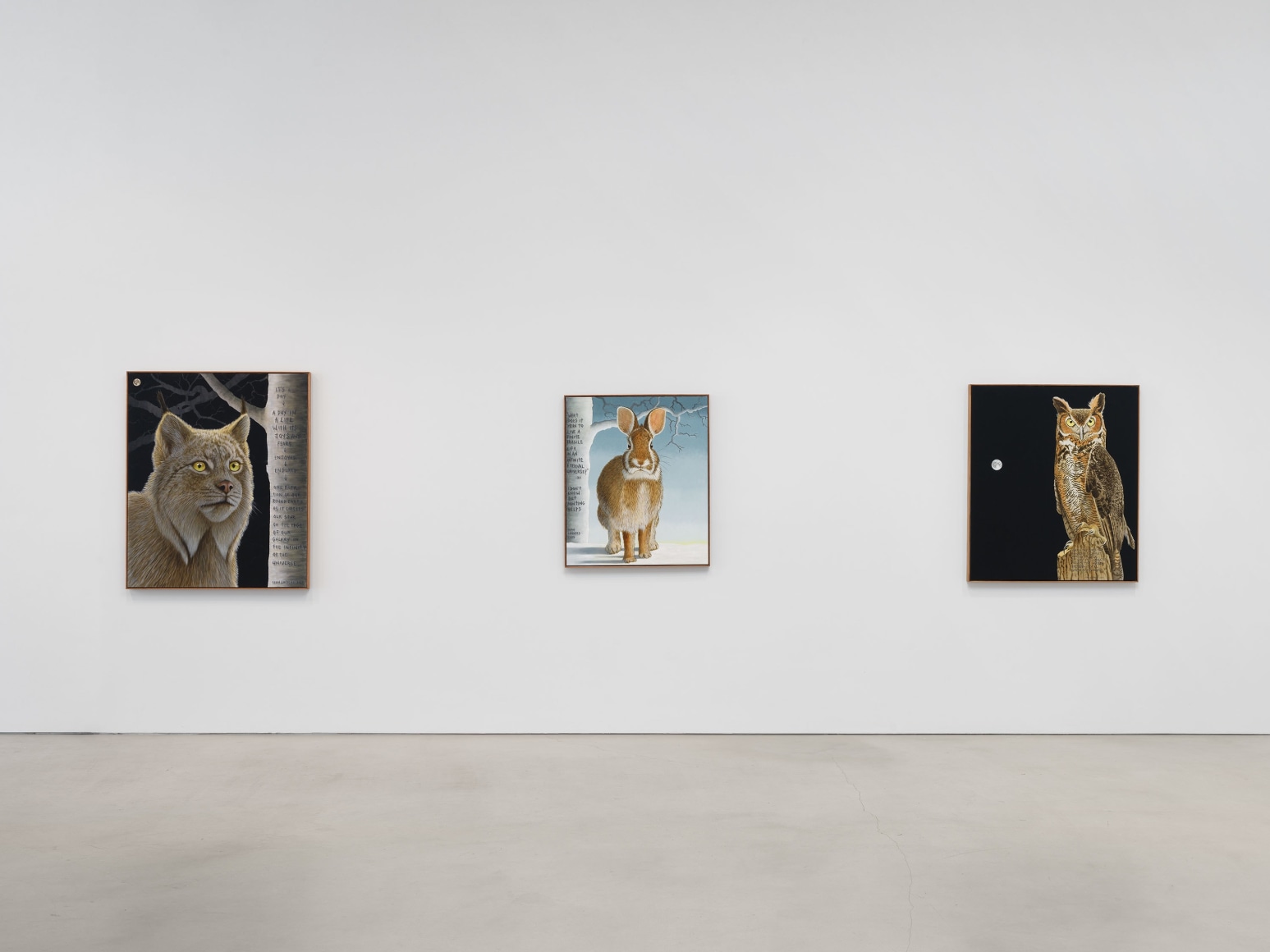 Installation view, Sean Landers, Petzel, 2025