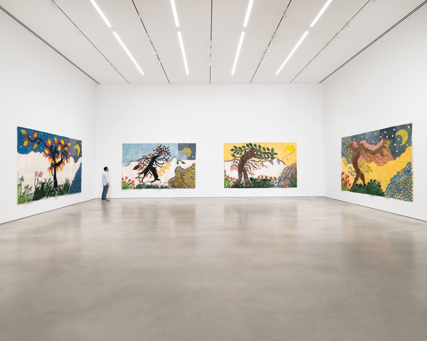 Installation view, Isabella Ducrot, Visited Lands, 2025, Petzel