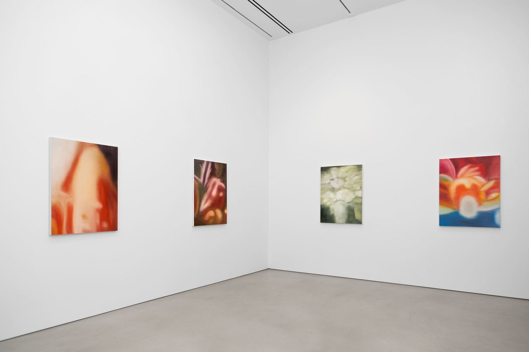 Installation view, Ross Bleckner, Petzel, 2025