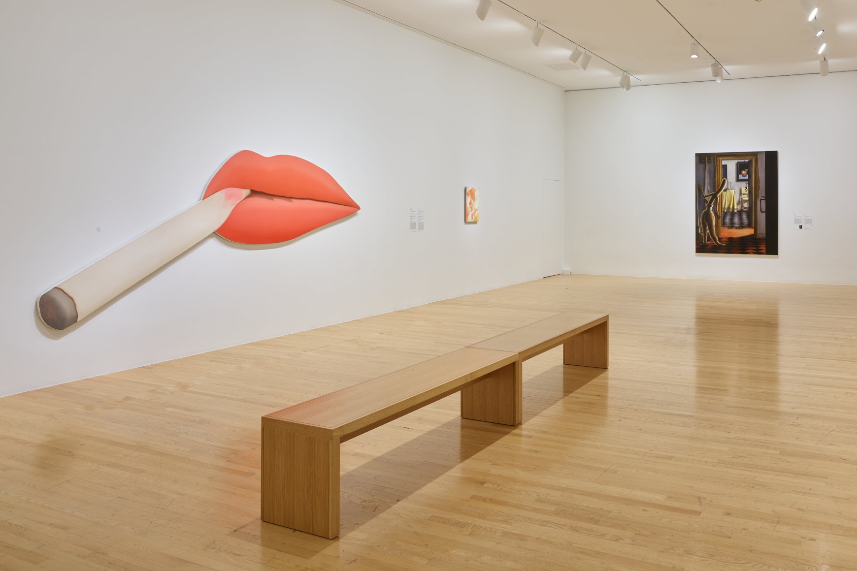 Installation view, He Said/She Said: Contemporary Women Artists Interject, Dallas Museum of Art, Dallas, 2024