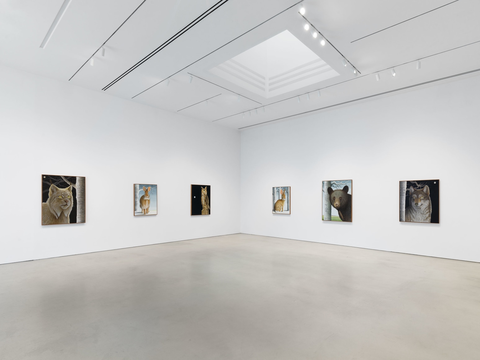 Installation view, Sean Landers, Petzel, 2025