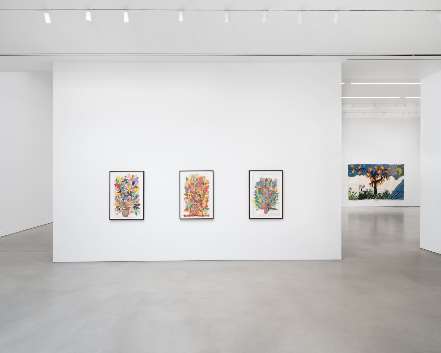 Installation view, Isabella Ducrot, Visited Lands, 2025, Petzel