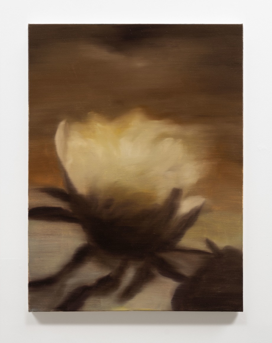 Ross Bleckner, Untitled (Based on a Photograph by Cy Twombly)