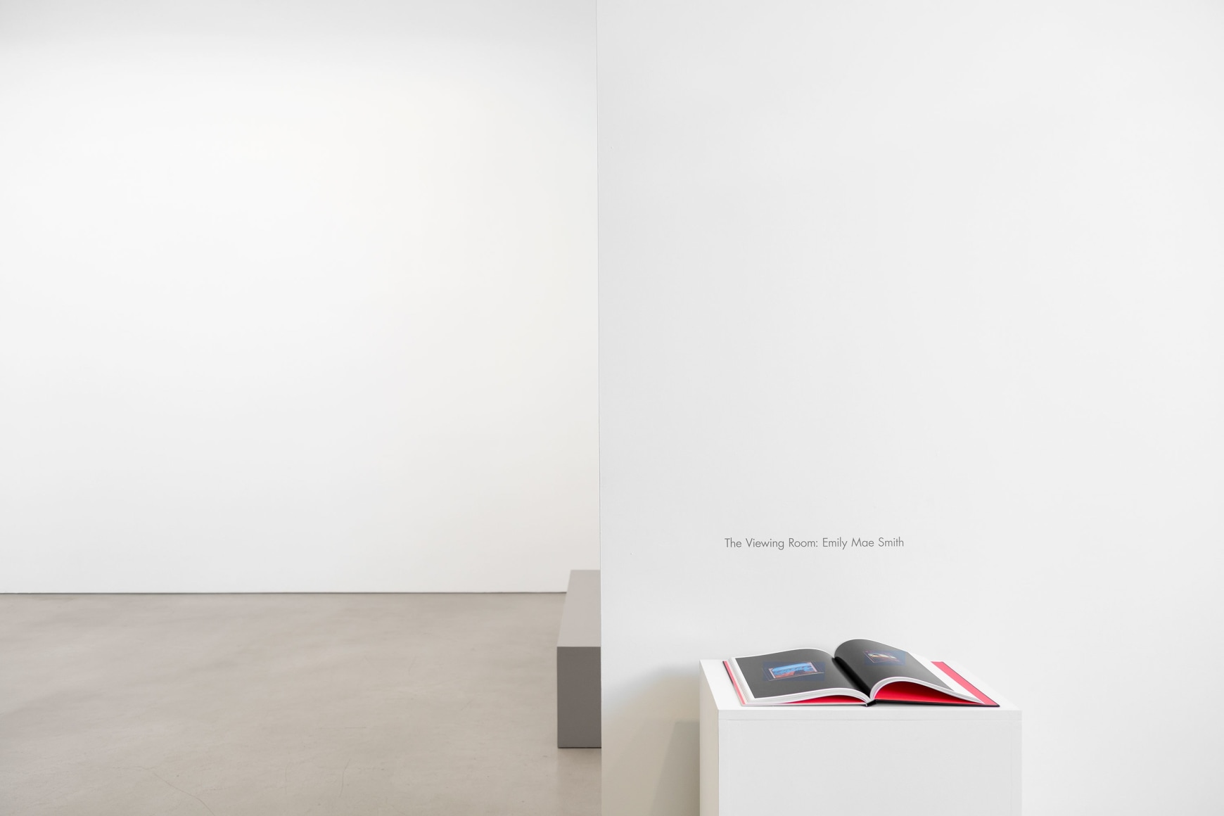 Installation view, Emily Mae Smith, Petzel, 2025