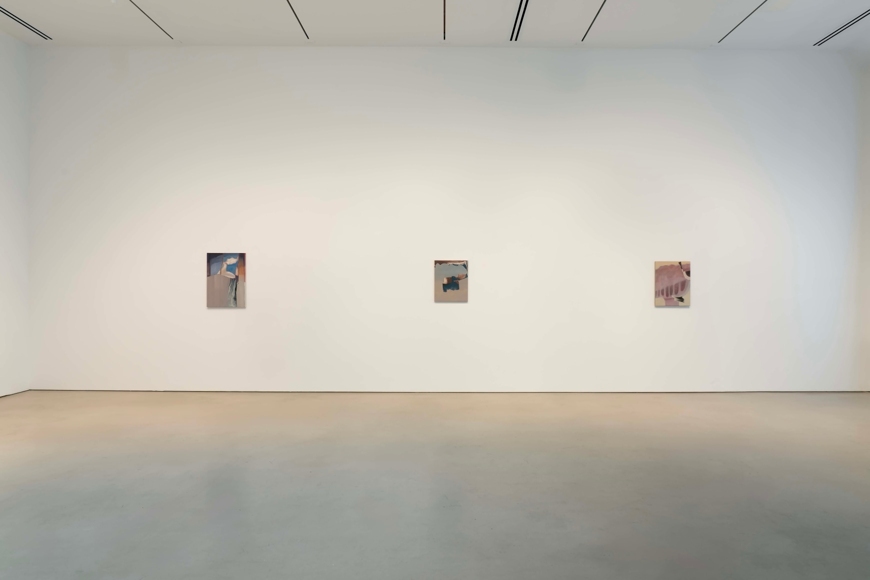 Installation view, Rezi van Lankveld,&nbsp;Premonitions,&nbsp;Petzel, 2025.