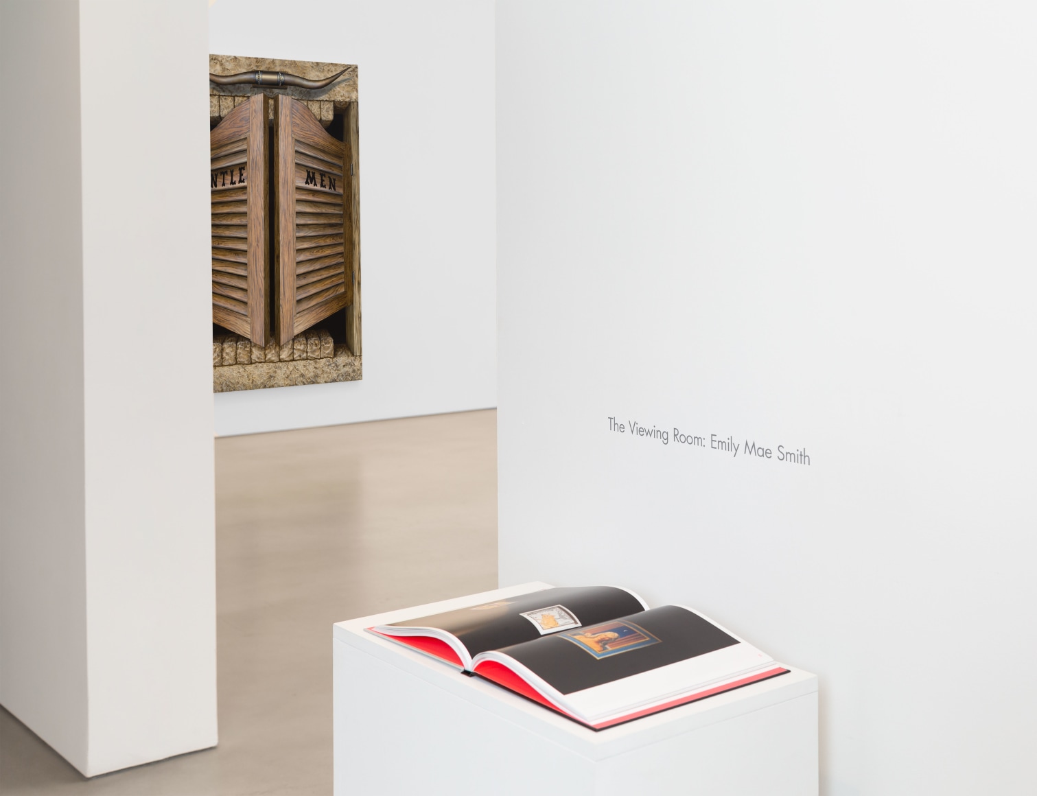 Installation view, Emily Mae Smith, Petzel, 2025