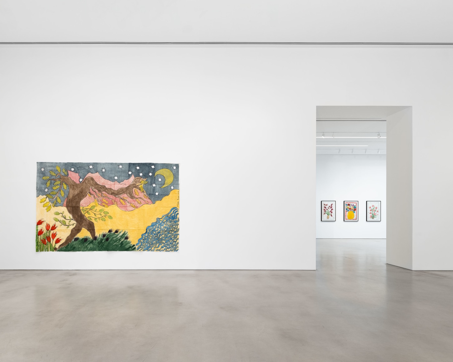 Installation view, Isabella Ducrot, Visited Lands, 2025, Petzel