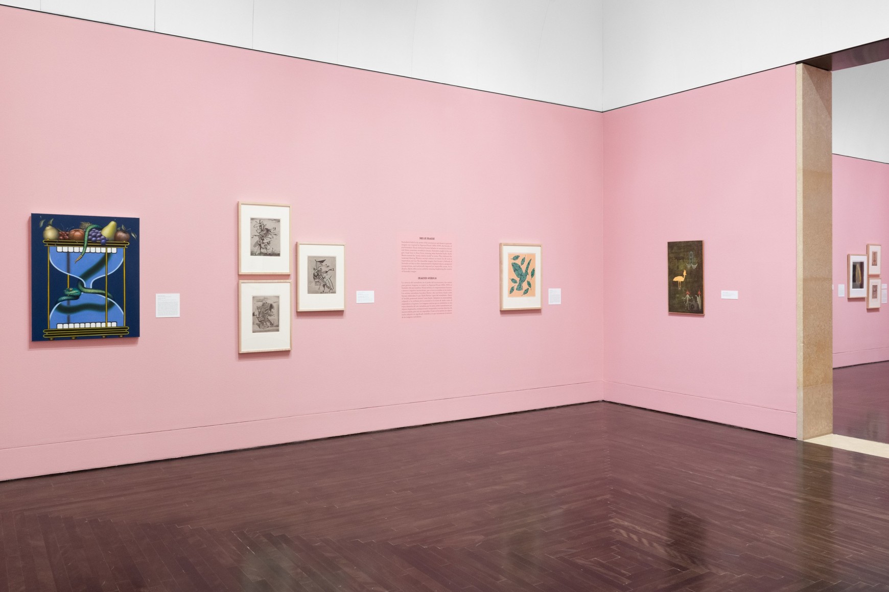 Installation view, Long Live Surrealism! 1924 &ndash; Today, Blanton Museum of Art, Austin, 2024