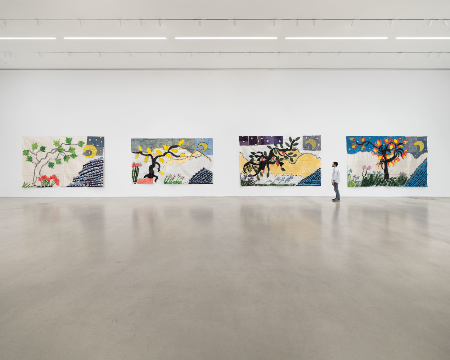 Installation view, Isabella Ducrot, Visited Lands, 2025, Petzel