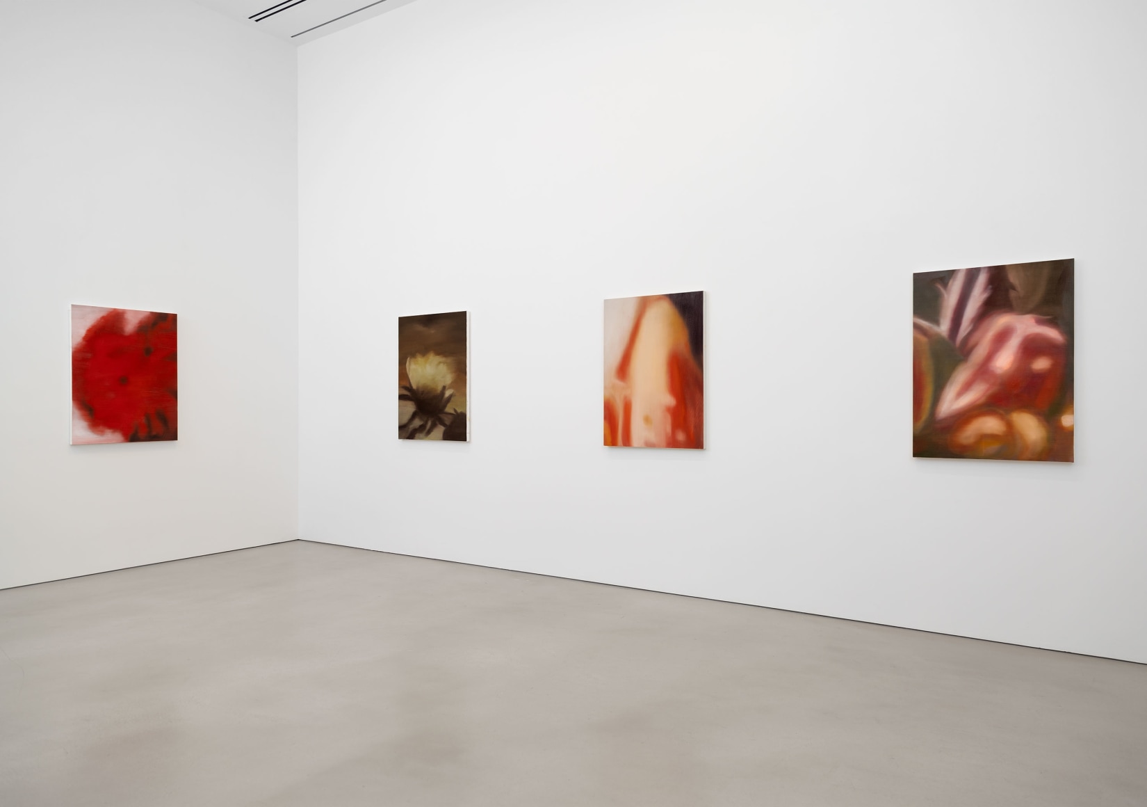 Installation view, Ross Bleckner, Petzel, 2025