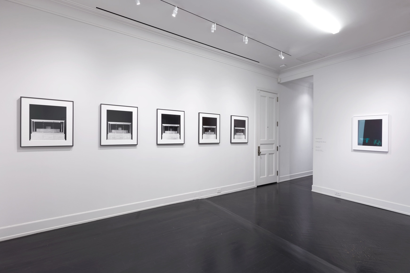 Troy Brauntuch, A Strange New Beauty