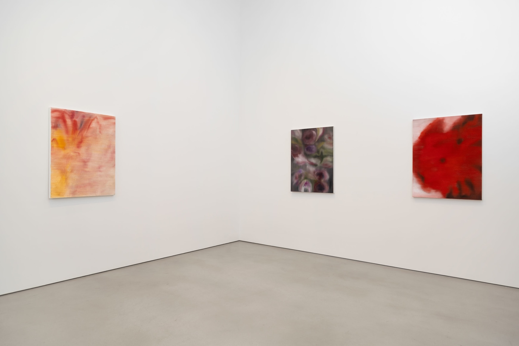 Installation view, Ross Bleckner, Petzel, 2025