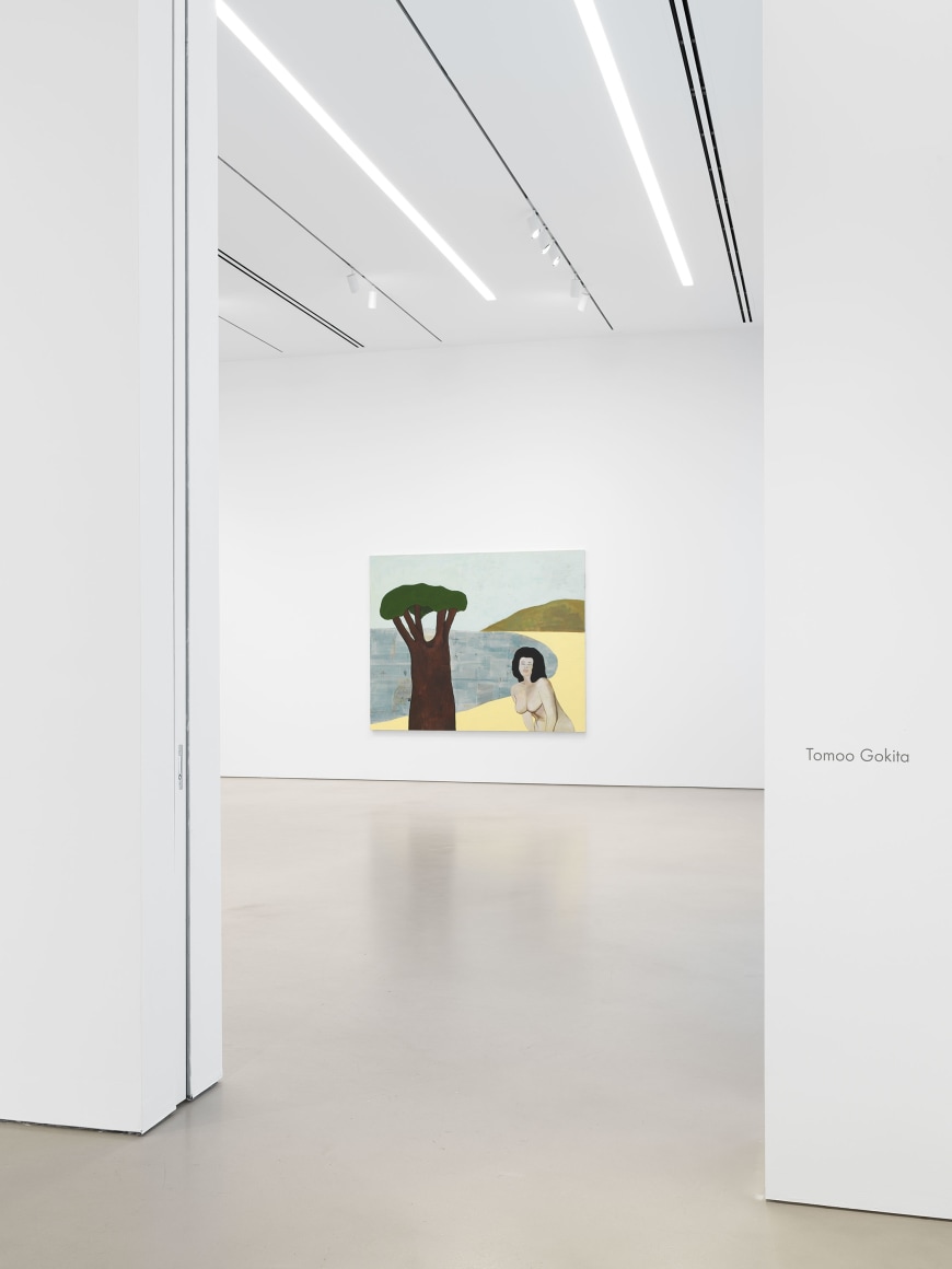 Tomoo Gokita - - Exhibitions - Petzel Gallery
