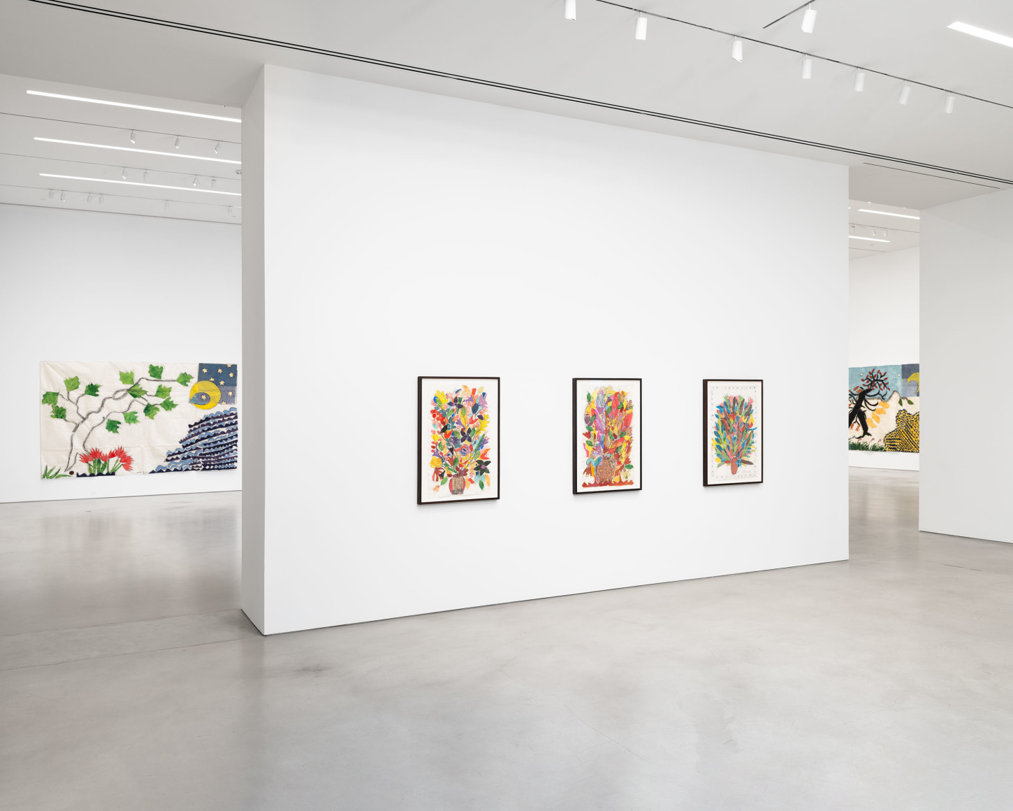 Installation view, Isabella Ducrot, Visited Lands, 2025, Petzel