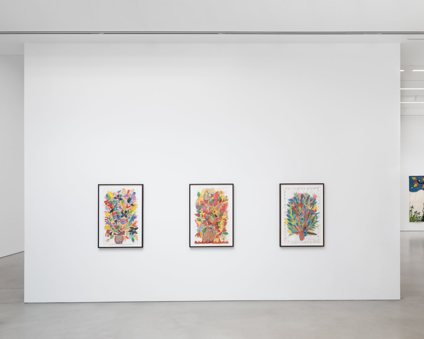 Installation view, Isabella Ducrot, Visited Lands, 2025, Petzel