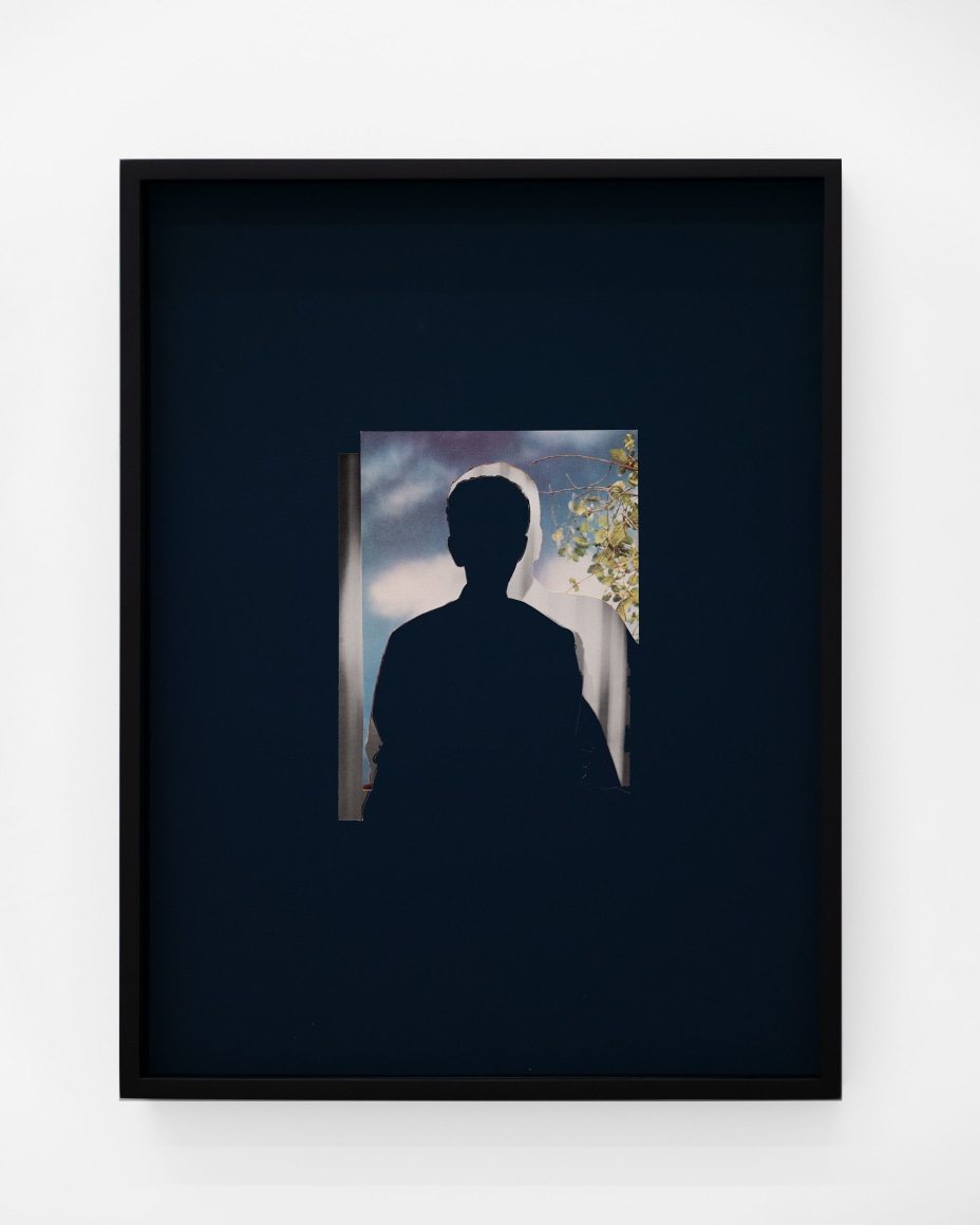 John Stezaker, Double Shadow (L&rsquo;Heure Bleue)