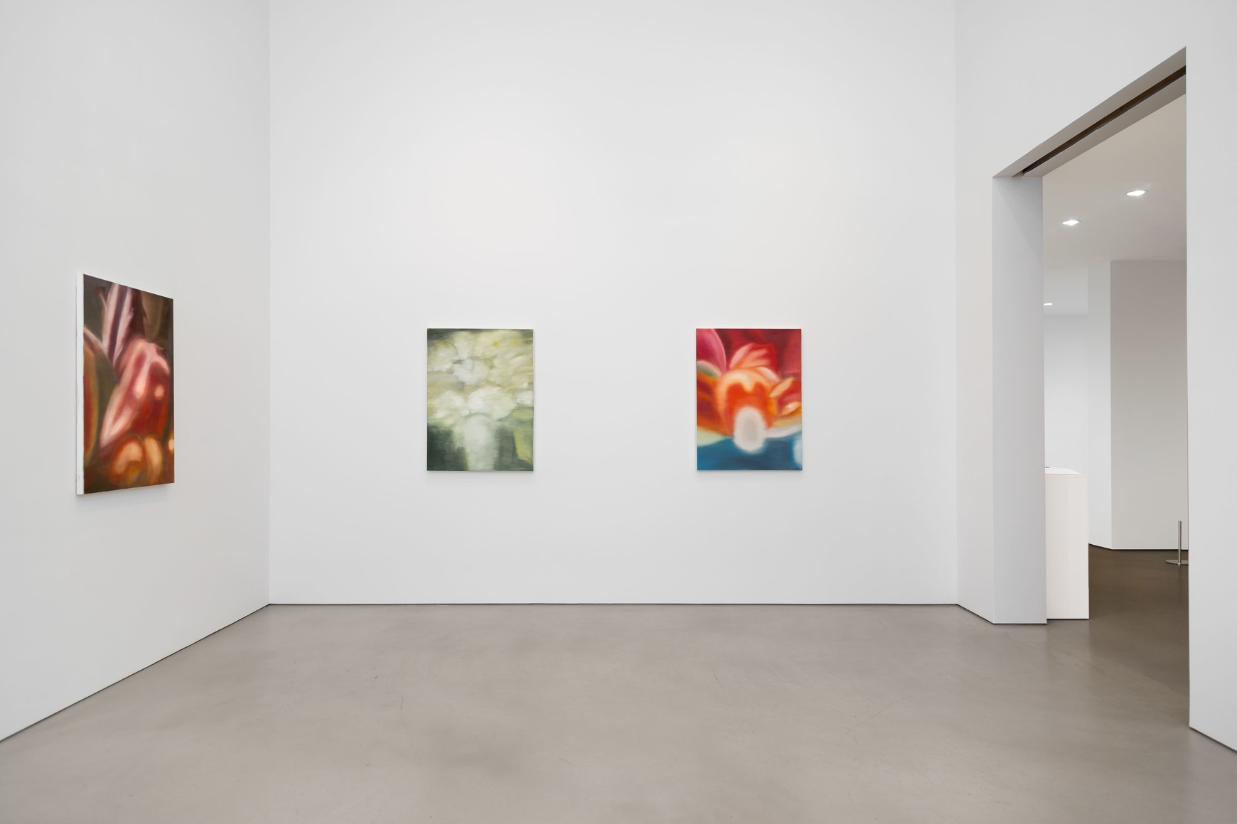 Installation view, Ross Bleckner, Petzel, 2025