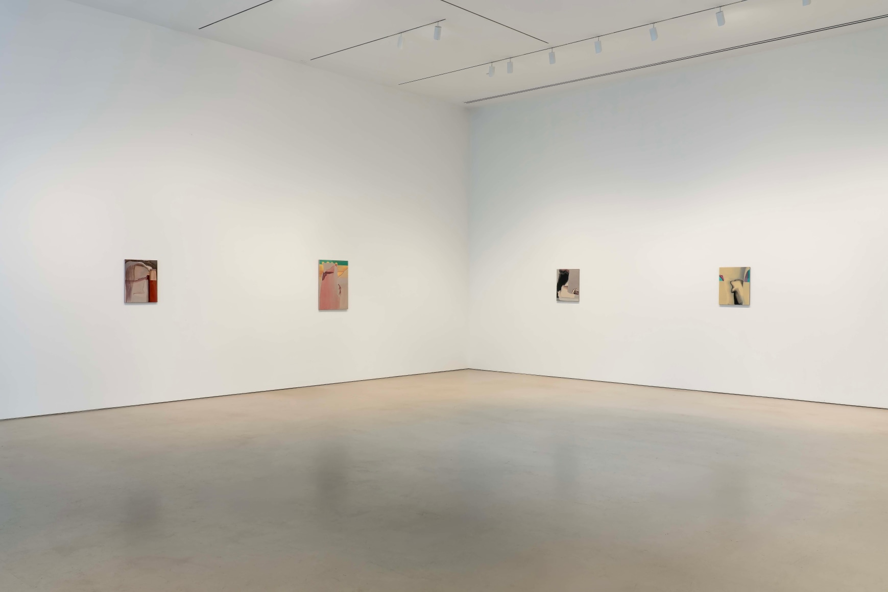 Installation view, Rezi van Lankveld,&nbsp;Premonitions,&nbsp;Petzel, 2025.