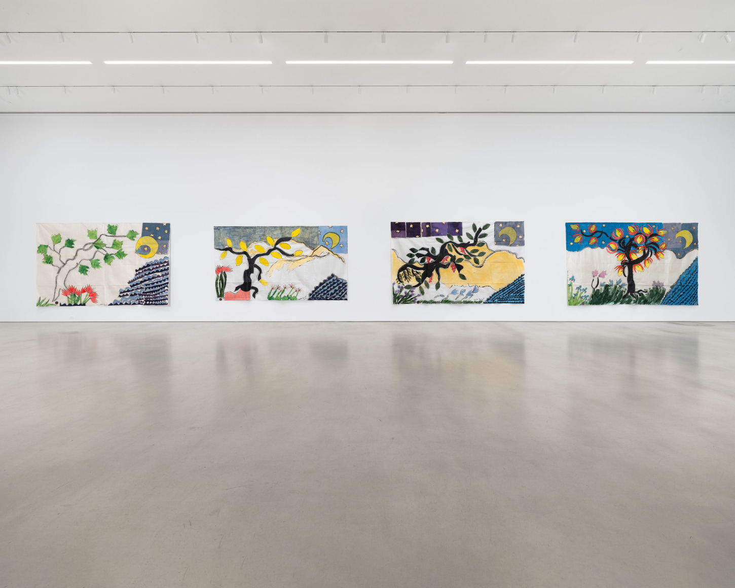 Installation view, Isabella Ducrot, Visited Lands, 2025, Petzel