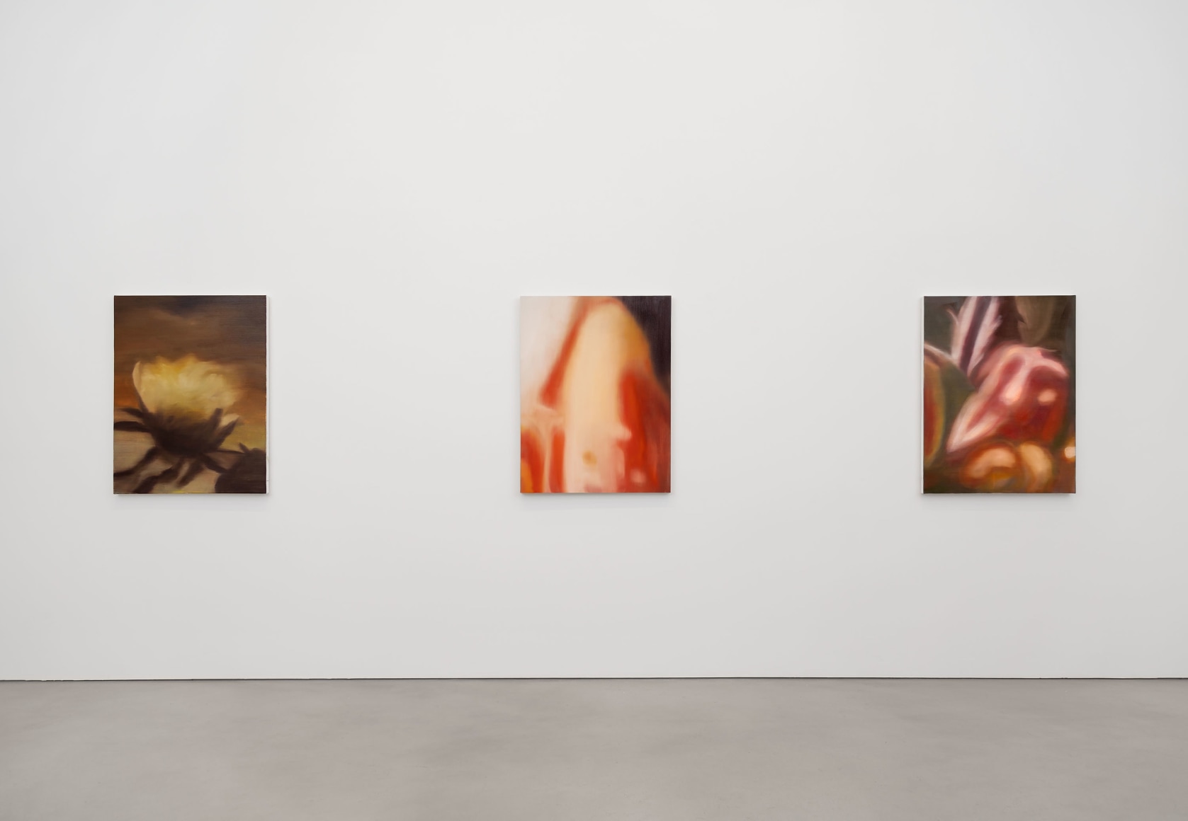 Installation view, Ross Bleckner, Petzel, 2025