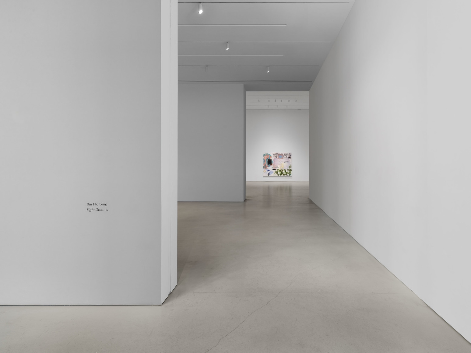 Installation view, Xie Nanxing, Eight Dreams, Petzel, 2025