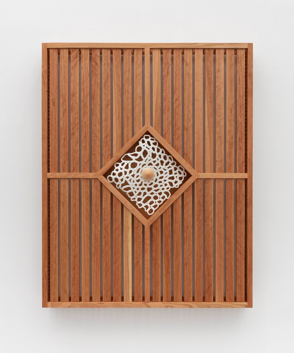 Anicka Yi, Edge of Embryology