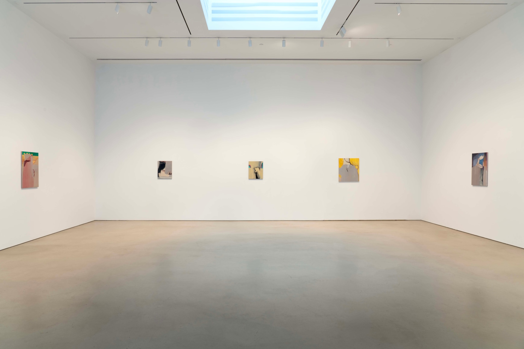 Installation view, Rezi van Lankveld,&nbsp;Premonitions,&nbsp;Petzel, 2025.