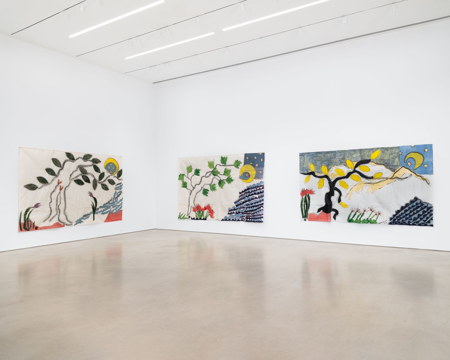 Installation view, Isabella Ducrot, Visited Lands, 2025, Petzel