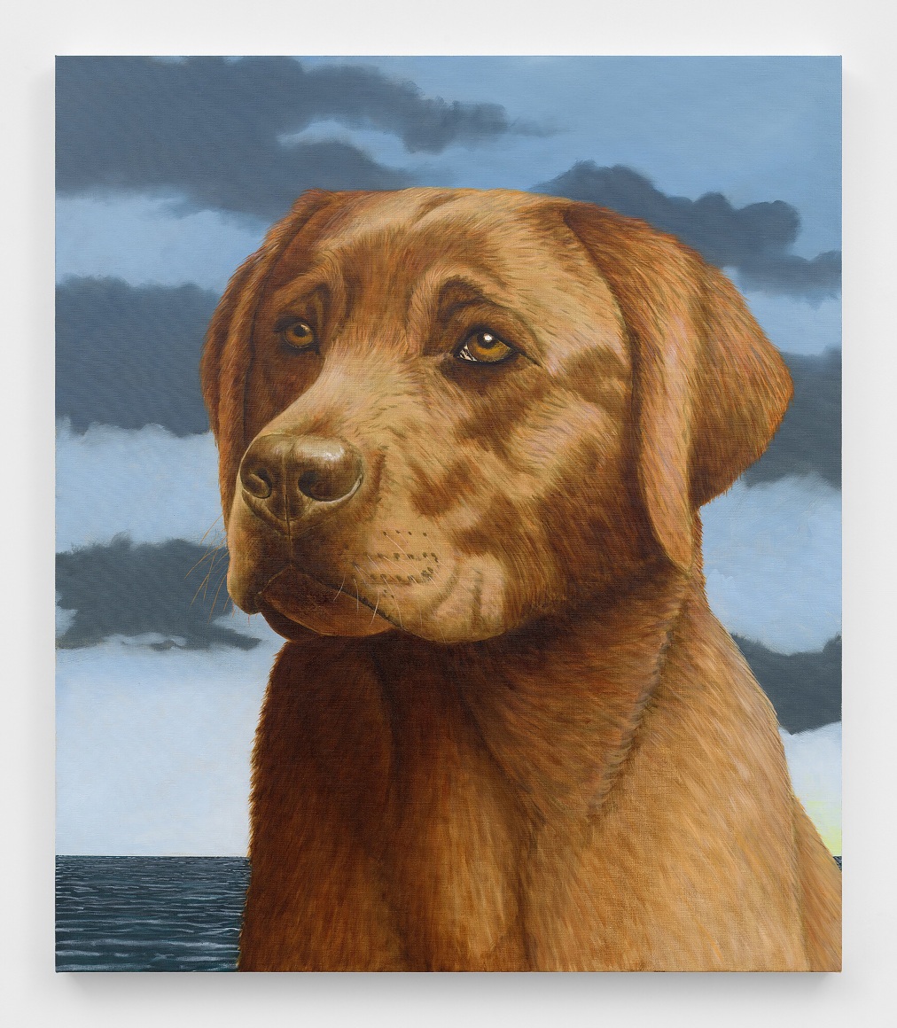 Sean Landers, Red Lab, 2023
