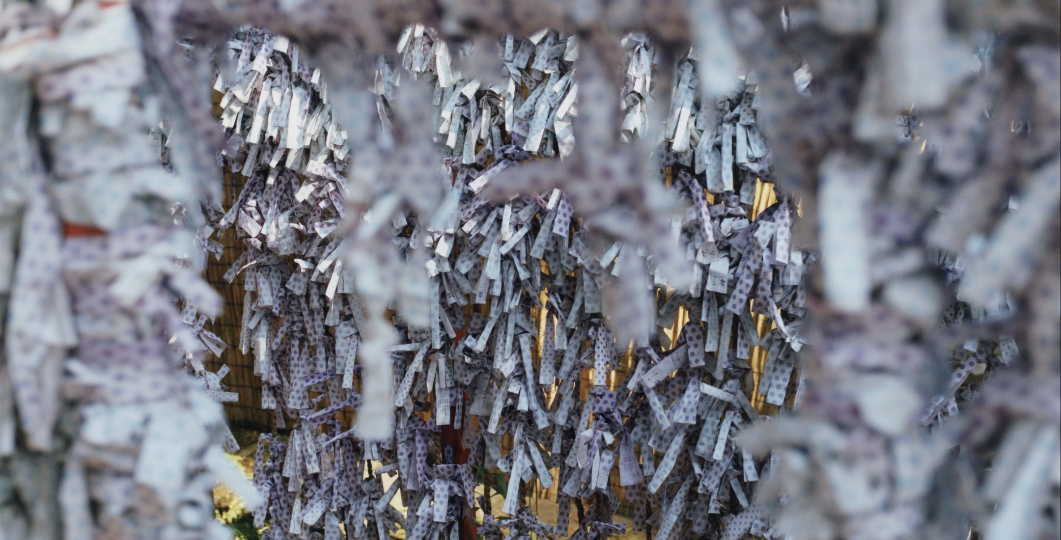 Color photo of hundreds of slips of Japanese paper with New Years wishes on them.