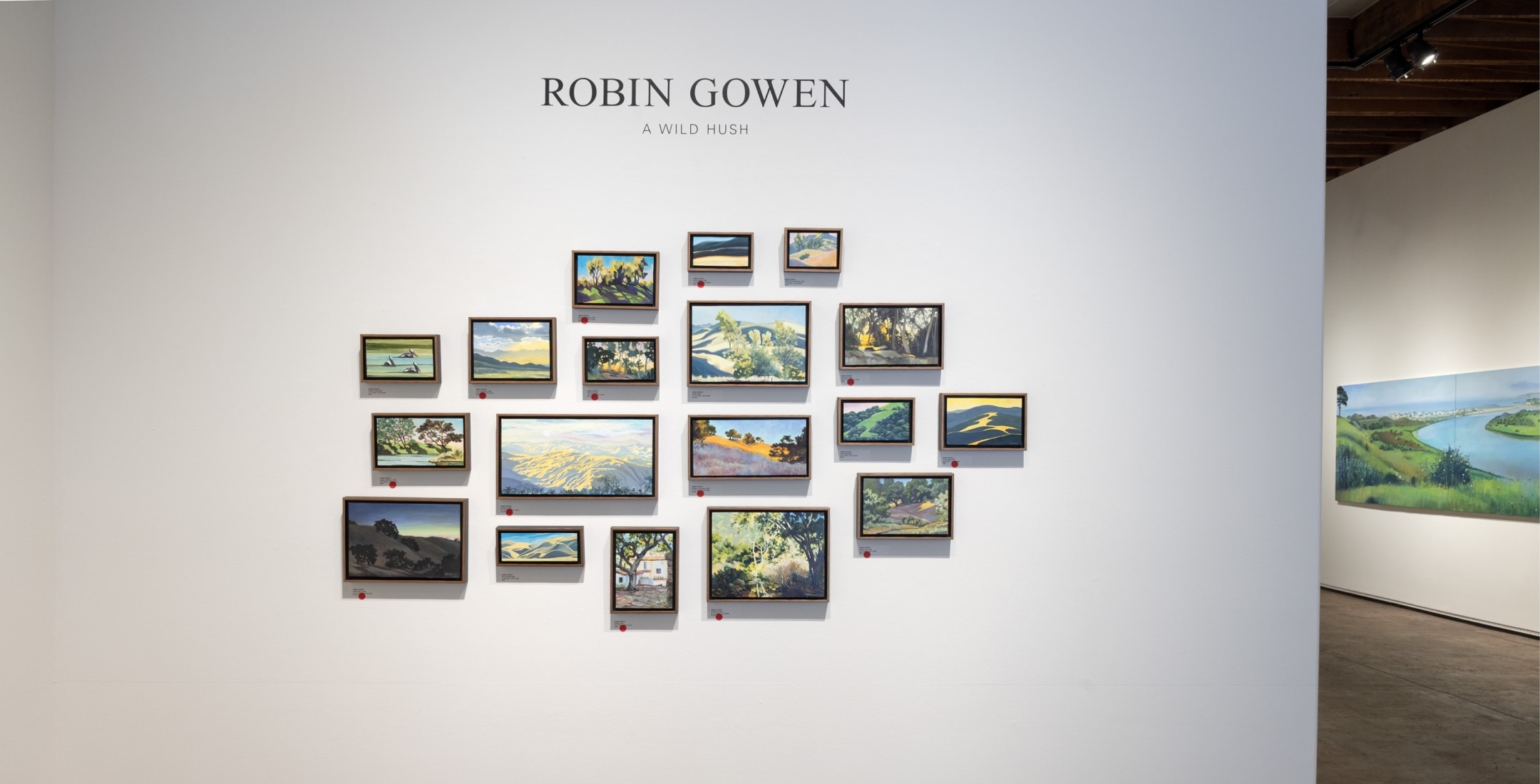 ROBIN GOWEN, Cloud Haze, 2025 for ROBIN GOWEN: A Wild Hush