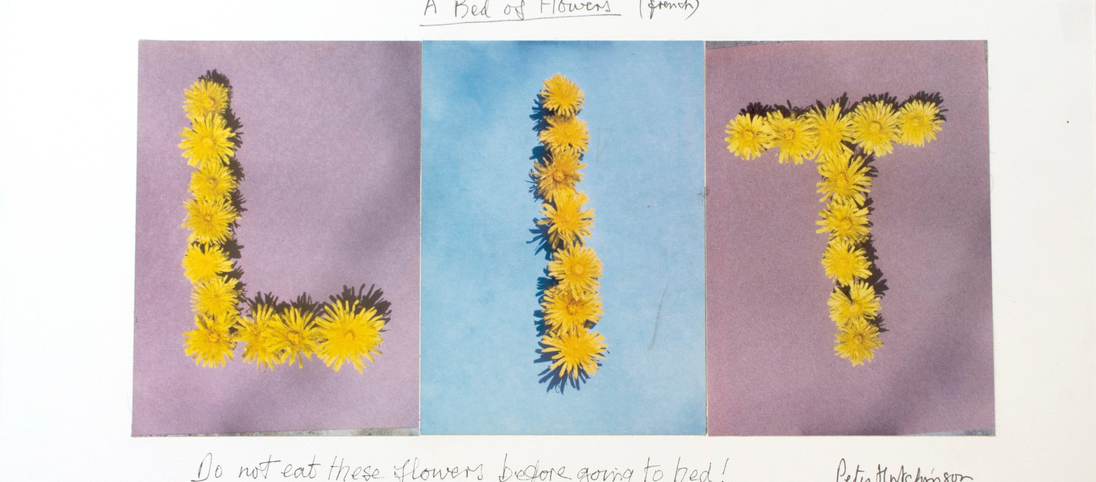 Peter Hutchinson | Summer Thrown Ropes
