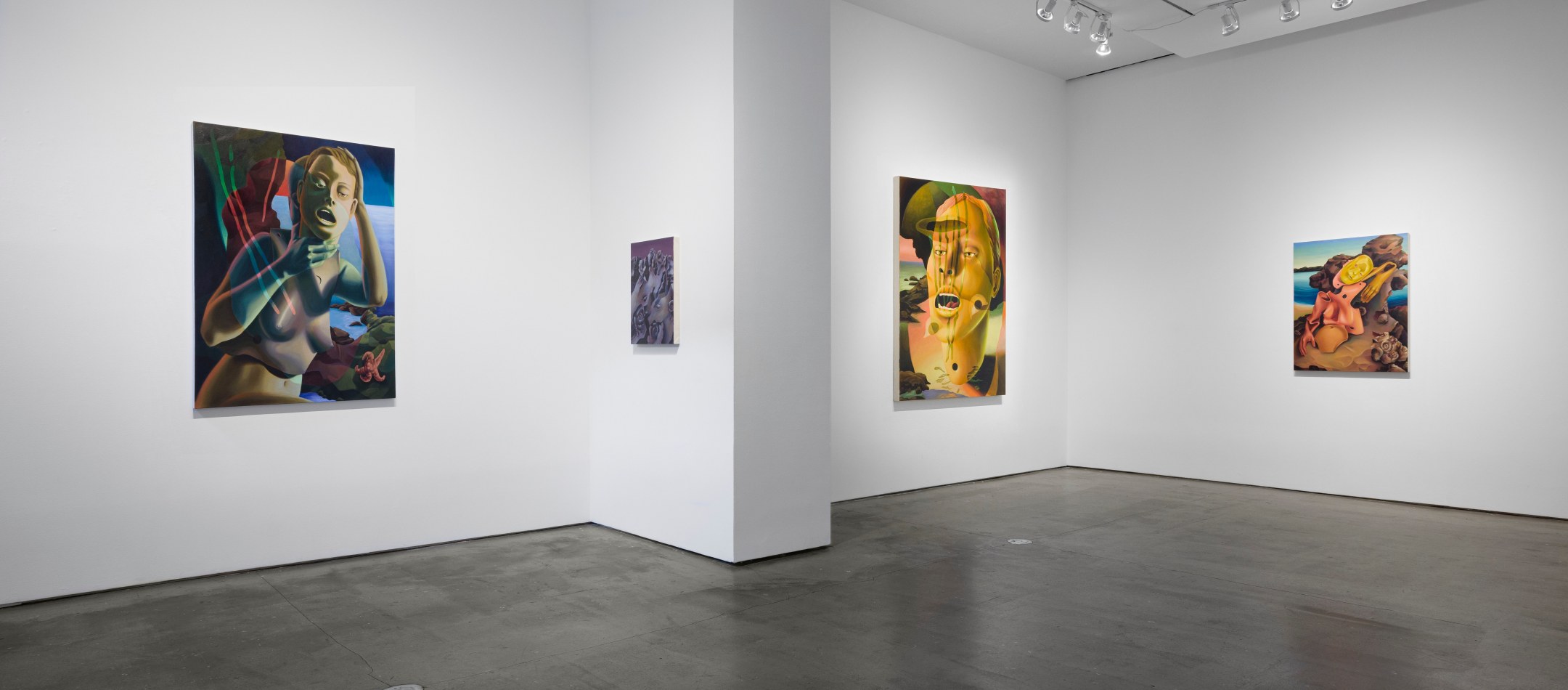 Installation view of Kristen Sanders "Protoself"
