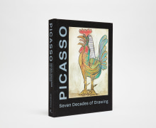 Picasso Book