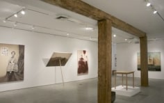 Installation view, Lino Lago, Ciao Bella,​ George Adams Gallery, New York, 2012.