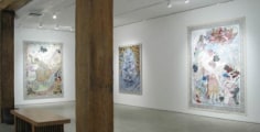 James Barsness Installation View