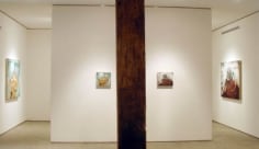 Amer Kobaslija Installation View