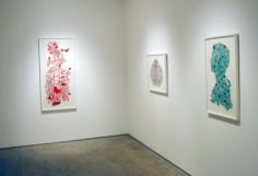 Kako Ueda Installation View