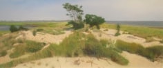 Andrew Lenaghan Plum Beach Dunes, 2005