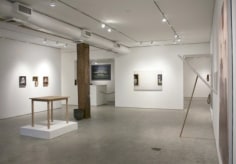 Installation view, Lino Lago, Ciao Bella,​ George Adams Gallery, New York, 2012.