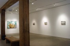 Amer Kobaslija Installation View