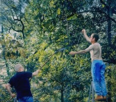 James Valerio Pruning, 2005