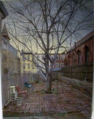 Andrew Lenaghan Backyard, 396 State Street