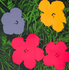  Andy Warhol, Flowers, 1970, Silkscreen, 36 x 36 inches